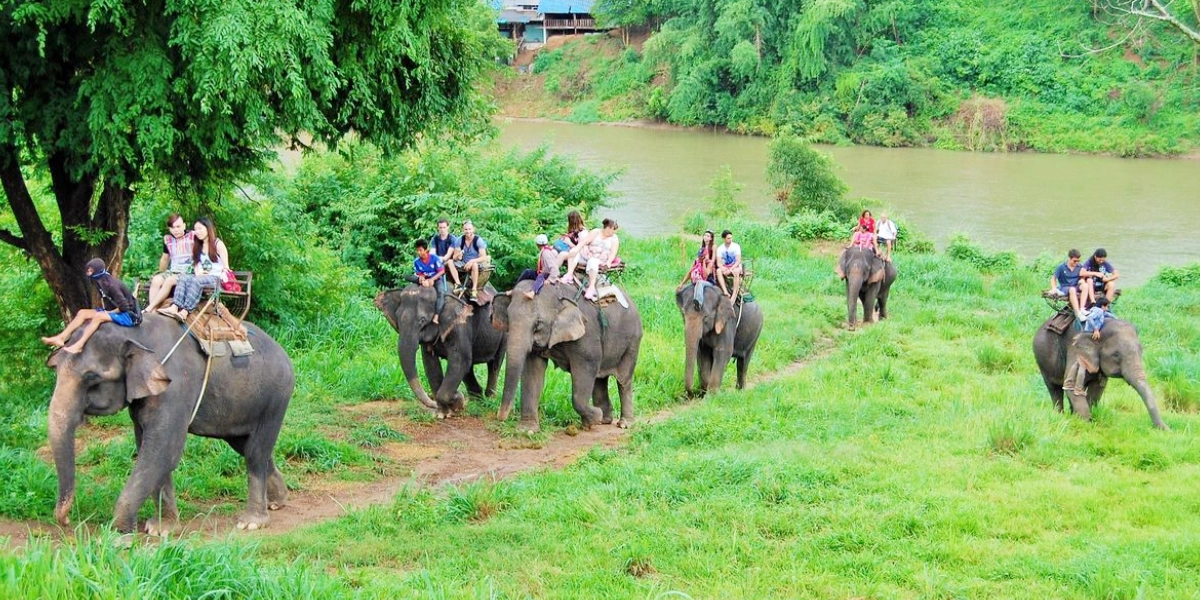 Nature’s Retreat: Coorg & Wayanad Getaway